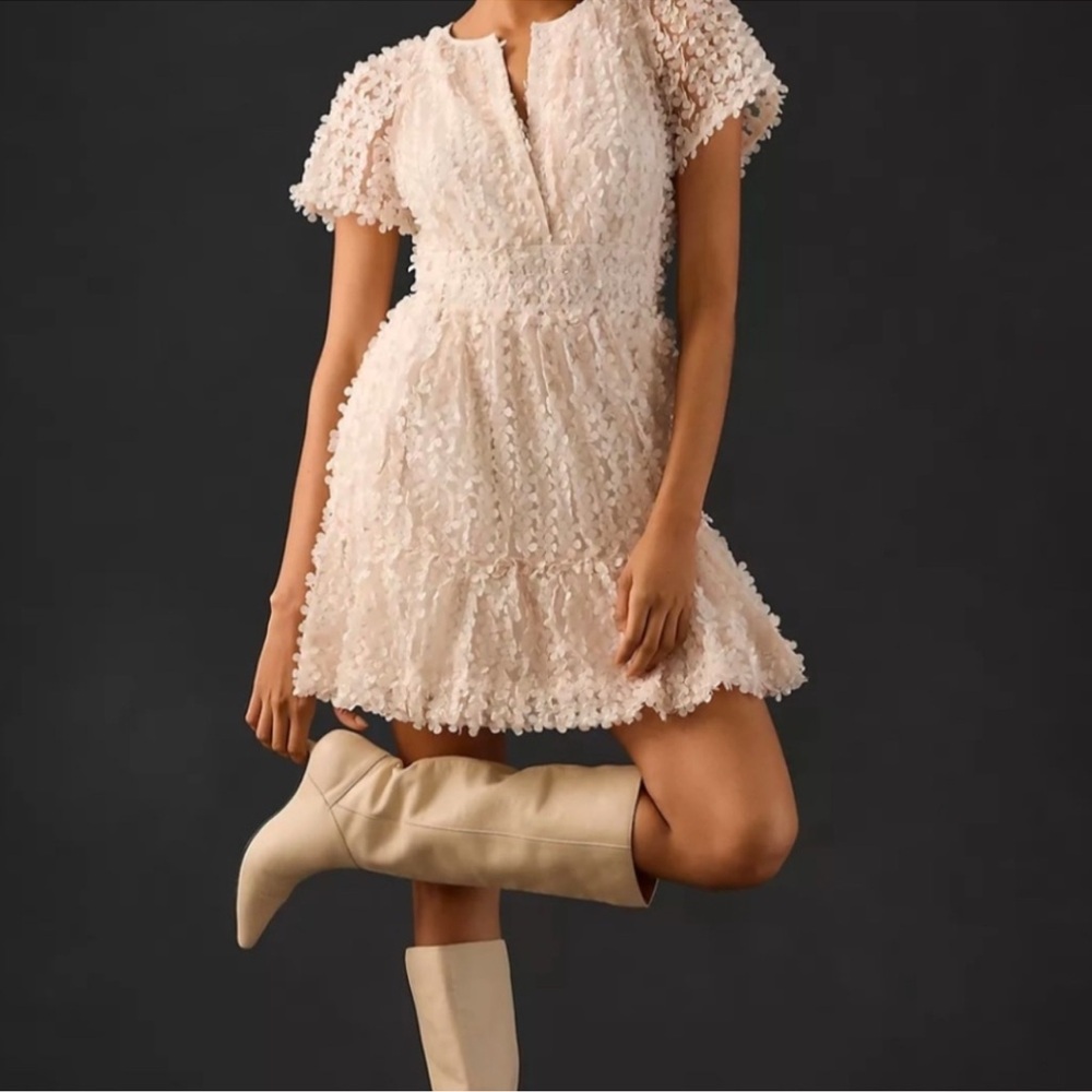Anthropologie Somerset Mini Dress: Floral Appliqué, size medium